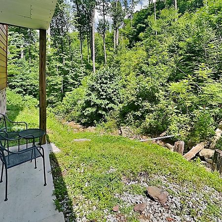 Bearly Hidden Villa Gatlinburg Dış mekan fotoğraf