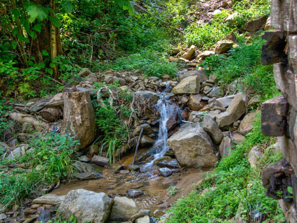 Bearly Hidden Villa Gatlinburg Dış mekan fotoğraf