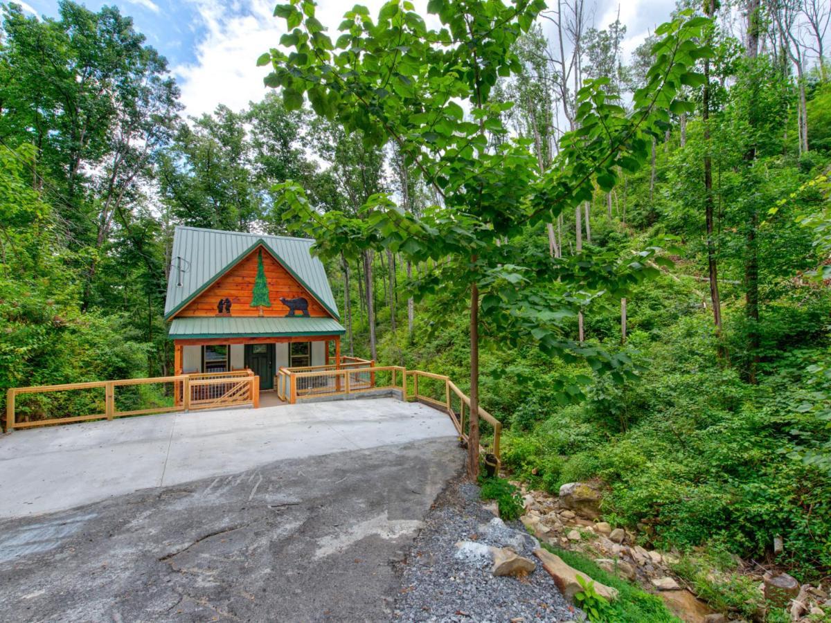 Bearly Hidden Villa Gatlinburg Dış mekan fotoğraf